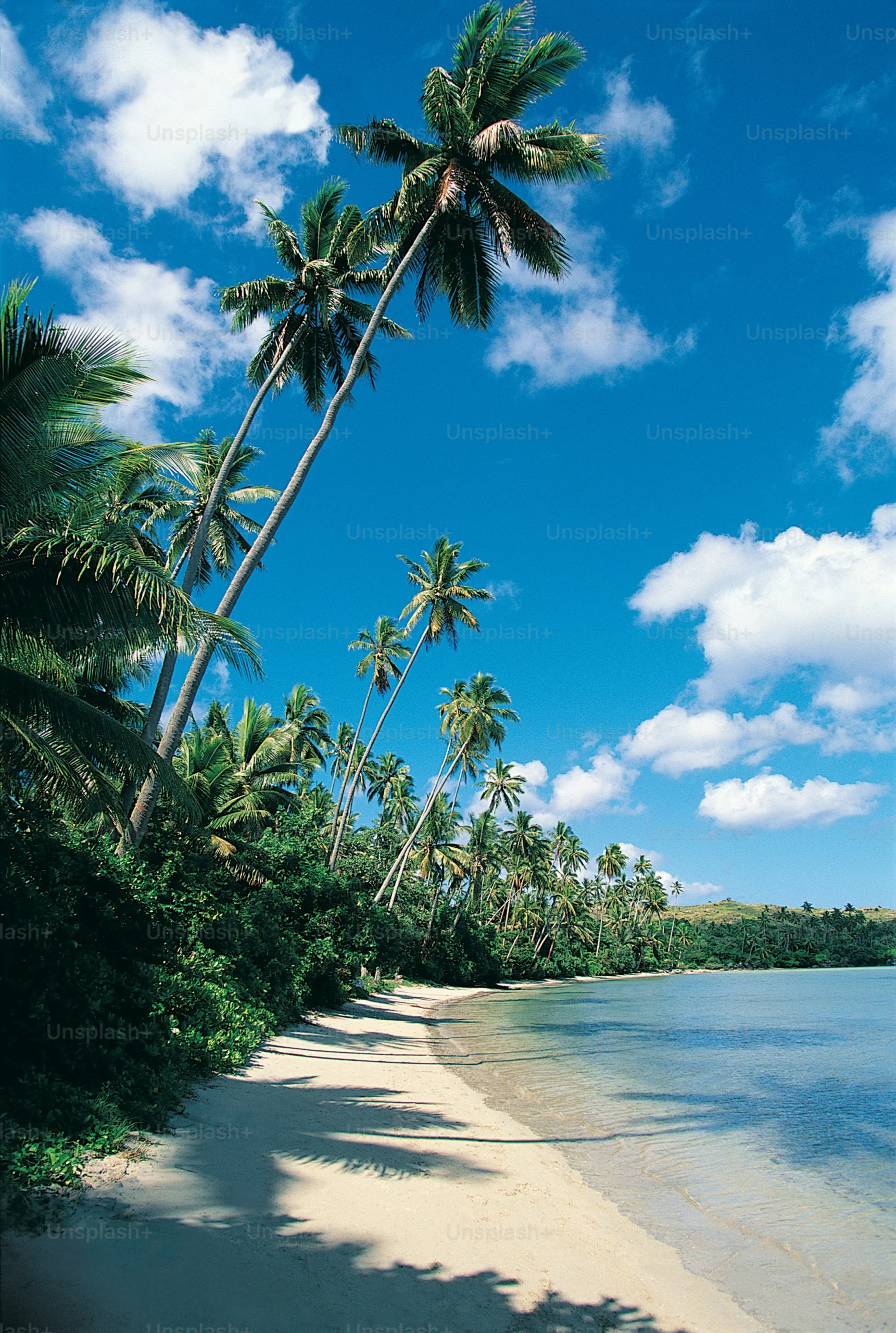 Goa